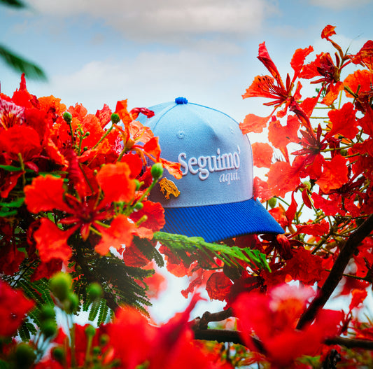 Seguimo’ Aquí💙