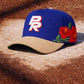 WBC 2.0