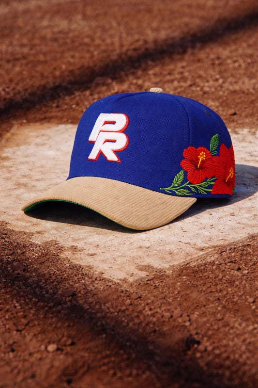 WBC 2.0