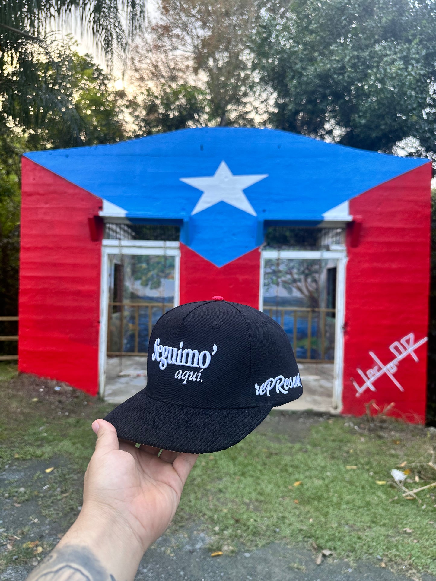 Seguimo' aquí.